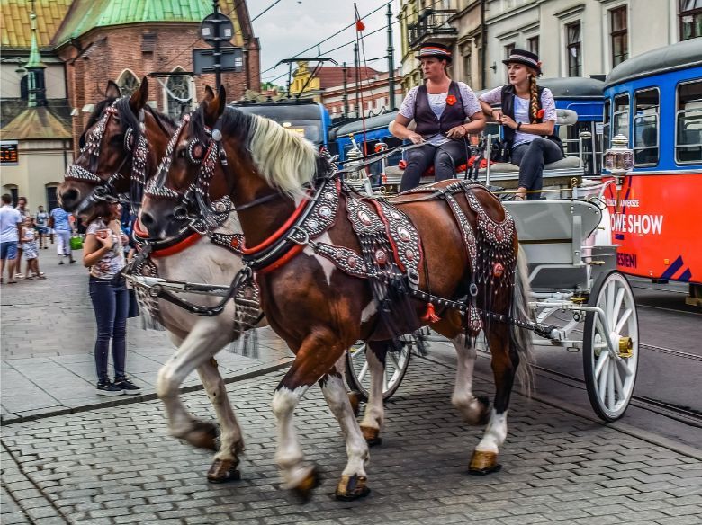 mahotidea011019e carriage-4494887_1280 mahotidea011019e carriage-4494887_1280